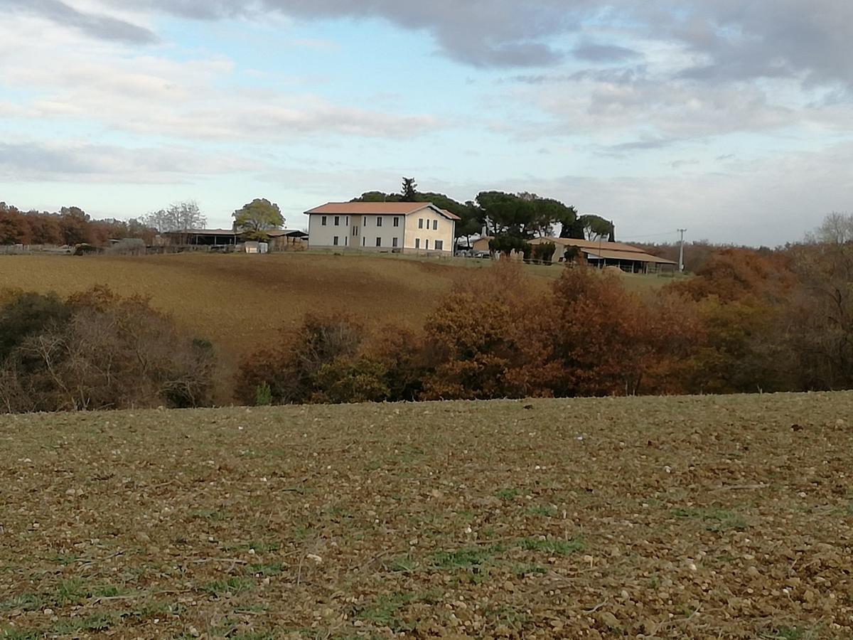 Biocampus La Roccaccia - Universita' Agraria Di Tarquinia Exterior photo